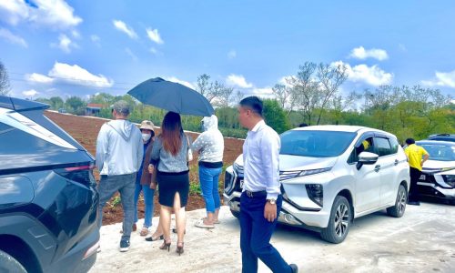 Chỉ Hơn 100 Triệu Sở Hữu Ngay Lô Đất Cách Đường Hùng Vương 300m
