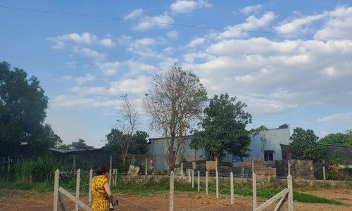 Chính chủ cần bán lô đất 123m2,Sông Lu.Trung An,Củ Chi,giá 880tr.