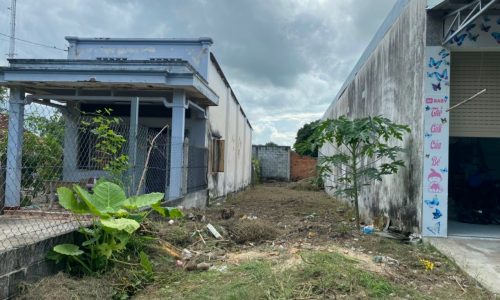 Bán gấp lô đất 106m2,đường Hồ Văn Tắng,Củ Chi.SHR,giá chốt 820 triệu.