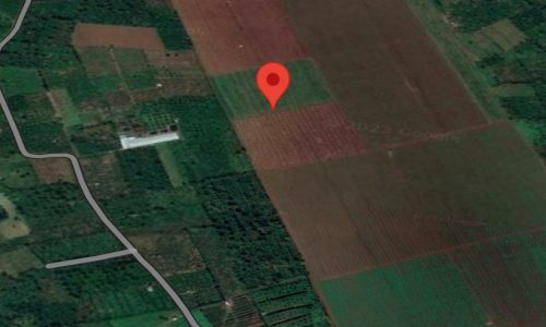 Bán đất nông nghiệp 12ha đã có bìa đỏ tại Cư Bao, Buôn Hồ, Đăk Lăk