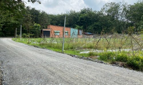 Cần bán gấp lô đất 362m2,Thạnh Đức,Gò Dầu,Tây Ninh,giá 420 triệu.