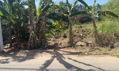 Kinh tế khó khăn nên dứt ruột bán đi 3 lô đất tâm huyết, Bến Cát, Bình Dương