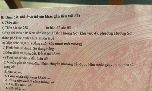 Bán nhà đẹp 3 tầng KQH Hương Sơ, Tản Đà, TP Huế, trục đường 19,5m, giá bán chỉ 2,3 tỷ