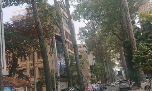 VIPP SƯƠNG NGUYỆT ÁNH P. BẾN THÀNH QUẬN 1 – 8x20m Nở hậu TÀI LỘC 16M – CN : 221M2 – HĐT 310TR/THÁNG