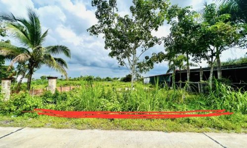 Chính chủ bán lô đất thổ cư 269m2,Gò Dầu-Tây Ninh,giá 630 triệu.