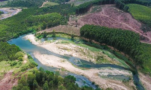 BÁN ĐẤT SUỐI – VỪA TÚI TIỀN KHÁNH ĐÔNG, KHÁNH VĨNH, KHÁNH HÒA