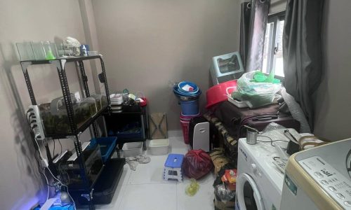 Chính chủ cần bán gấp nhà Lê Văn Sỹ, Q3, 4 tầng, 4PN, đang cho thuê 15tr, 38m2, 6.8 tỷ