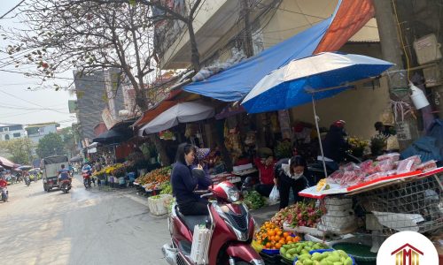 BÁN ĐẤT 50M2 TẠI XÓM VANG CỔ LOA ĐÔNG ANH, Ô TÔ TIỆN ÍCH ĐẦY ĐỦ NHỈNH 1 TỶ LH: 0886736116.