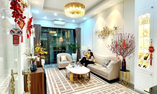 HÀNG HIẾM, PHỐ BẠCH MAI, 33M2 – 3,6 TỶ, 5 TẦNG XÂY MỚI, Ô TÔ GẦN, ĐI BỘ RA CHỢ.