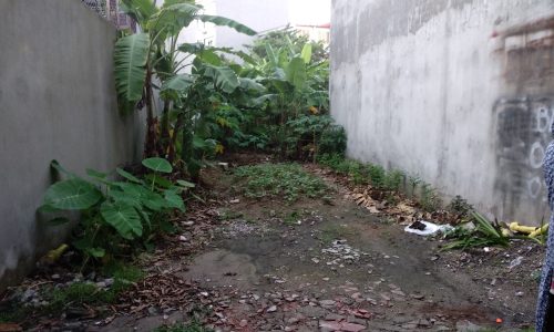 Bán đất Trâu Quỳ -56m2 Khu B viện rau quả mt 4m đường 5m,view sân chơi.0982852808