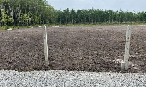 Bán gấp lô đất 153m2, full thổ, Gò Dầu, Giá 300tr.