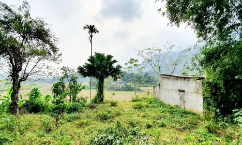 Chính chủ cần bán mảnh đất 3400m2 (400m ONT) gần UBND xã Nhân Mỹ, Tân Lạc, Hòa Bình