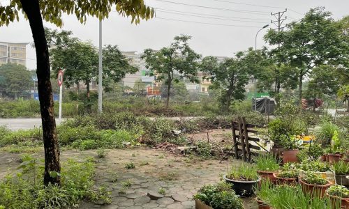 Cực hiếm tái định cư Trâu Quỳ -41m2 lô góc xe khe,đường 11m, giá tốt.0982852808