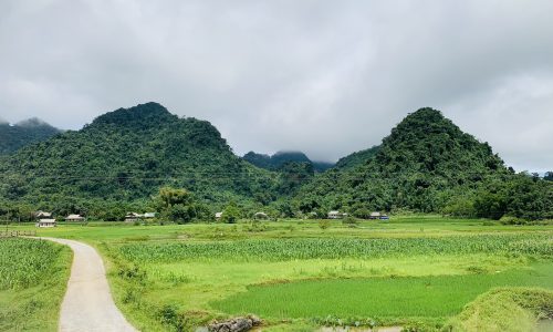 Rất phù hợp với câu về quê chân nuôi, thả cá và trồng thêm rau. Mảnh 7500 Khan Hò – Mai Châu, với địa thế đất vô cùng đẹp, với những thảm cỏ xanh, đá biếc