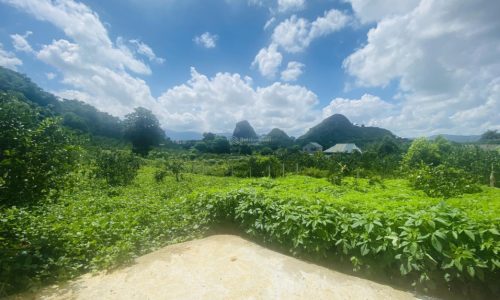 Chủ cần bán đất đẹp rẻ 7450m2 Bắc phong, Cao Phong( 1729m2 Ont) Tại Xóm Tiếng