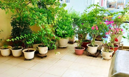 Định cư muốn bán nhanh nhà HXH 5m thông 1 trục Lê Hồng Phong Q10, 6 tầng, 55m2, 10.6 tỷ