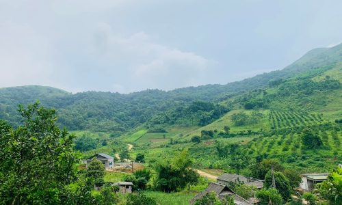 HÈ HẠ NHIỆT CÙNG KHUÔN VIÊN NGHỈ DƯỠNG 3984M ĐẲNG CẤP VIEW THOÁNG MÁT TẠI CAO PHONG, HB