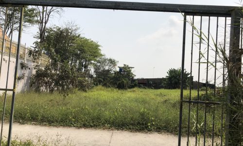 Bán đất trồng cây lâu năm, Đất có sổ hồng, DT: 1360m2, Xã Đa Phước Huyện Bình Chánh