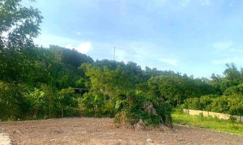 Cần bán gấp thu vốn đất đẹp 1000m2 Xóm khì, tt Mãn Đức, Tân Lạc, Hoà Bình Đất thị trấn, có 200m2 đô thị, cạnh dự án