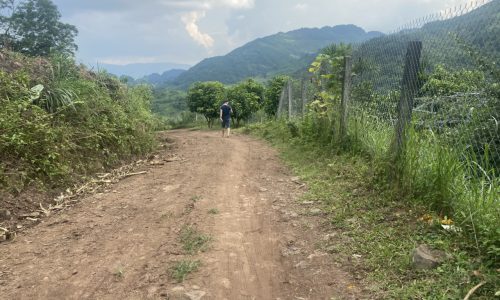 Do không chăm được Cần bán nhanh mảnh đất rừng 3387m2 Bắc Phong Diện tích 3387m ( thực tế gần 5000m2)