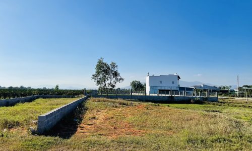 BÁN GẤP ĐẤT MẶT TIỀN ĐƯỜNG NHỰA HÀM LIÊM