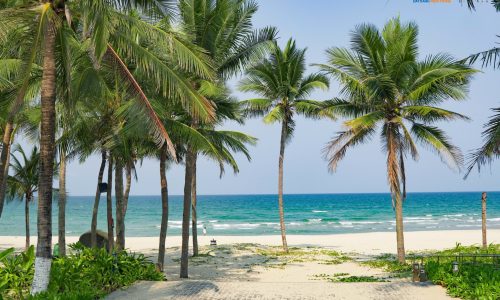 Sập hầm chỉ 12 tỷ biệt thự sát biển Mỹ Khê Đà Nẵng cạnh sân Golf lớn, sang tên trong ngày