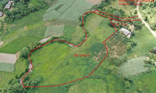 Nhanh tay mua ngay mảnh đất 10.741m2 và đất vườn tại Mỹ Hòa, Tân Lạc với mức giá siêu ưu đãi
