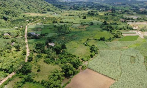 Mảnh đất gần khu công nghiệp trong tương lai tại xã Mỹ Hoà chỉ hơn 200k/m Với diện tích lên tới gần 1,1ha