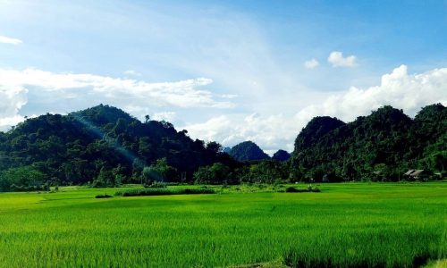 BÁN ĐẤT 2700m2 xóm Đung, Phú Vinh cực rẻ Chưa đến 300k cho 1 mét đất Chủ nhà cần cho ra đi nhanh 2700m2 có 200m2 ont