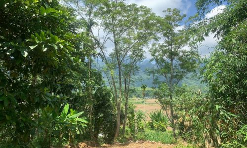 Thu vốn bán rẻ Nhanh tay, nhanh tay mua ngay đất như đảo 1409 Lỗ Sơn Bán rẻ mảnh đất đẹp tại Lỗ Sơn, Tân Lạc