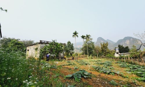 Bán gấp đất đẹp 1883m mặt tiền, vị trí thuận lợi đường lớn tại Cao Phong, Hòa Bình