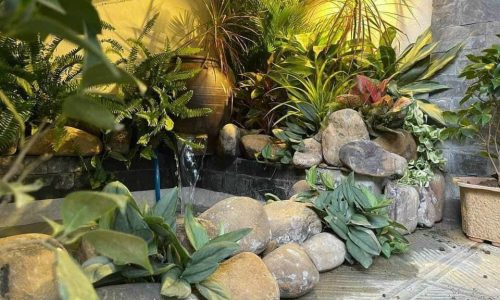 NHÀ 2 TẦNG MẶT TIỀN PHÙNG LƯU – 120M2 – NGANG 6.6M – GẦN CẦU VƯỢT THỦY DƯƠNG