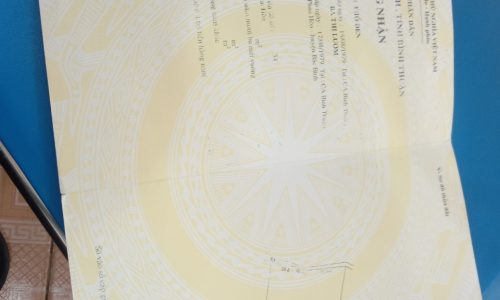 Chính chủ kẹt tiền cần đẩy nhanh 12000m2 đất cây lâu năm giá ae đầu tư