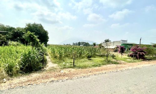 Đất Phước Trạch,Gò Dầu,400m2 thổ cư,giá 490 triệu.