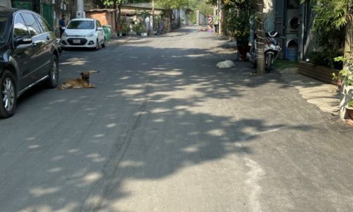 Nhà HXH dương đình hội tăng nhơn phú B, Diện tích 55m cấp 4