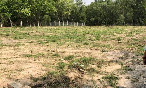 Cần tiền bán đất ngay gần KCN Thạnh Đức – Gò Dầu- Tây Ninh, 190m2, 590tr, SHR