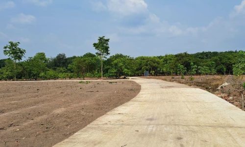 Đất thổ cư 250m2 mặt tiền đường 12m ngay ủy ban, shr giá 250tr.