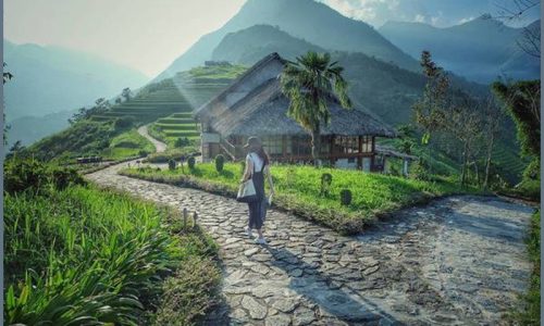 Nhanh tay mua ngay khi đất đang rẻ Mảnh đất Lỗ Sơn ,Tân Lạc, Hoà Bình đẹp dịu dàng giữa đồng lúa xanh