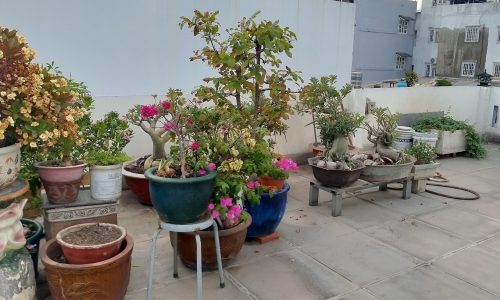 Bán nhà HXH đường Bùi Đình Tuý,Phường 24,Bình Thạnh.DT 136m2,ngang 9m.Giá chỉ nhỉnh 11 tỷ