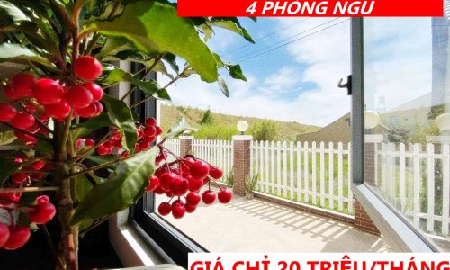 CHO THUÊ NHÀ NGUYÊN CĂN 4 PHÒNG NGỦ – 2 WC – FULL NỘI THẤT P6. ĐÀ LẠT