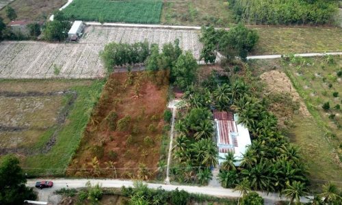 Bán gấp lô đất vườn 2MT, 1753m2, Hiệp Thạnh Gò Dầu, Giá 950 Triệu.