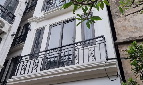 BÁN NHÀ NAM DƯ LĨNH NAM HOÀNG MAI CỰC HOT