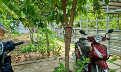 Sở hữu nhà vườn rộng 300m² tại đường Long Phước – Quận 9