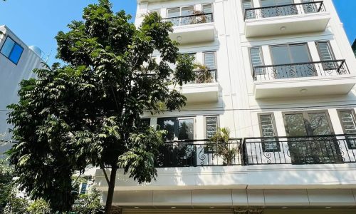 SIÊU PHẨM  MẶT PHỐ TRƯƠNG ĐỊNH, 65M2, 5 TẦNG, THANG MÁY,  LÔ GÓC, KINH DOANH ĐỈNH GIÁ 9,9 TỶ.