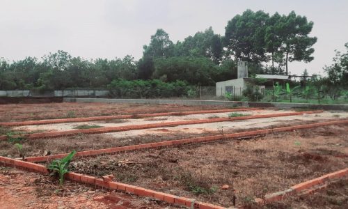 Bán 2 lô đất nền tại Dầu Giây giá 600 triệu, thổ cư 100%, sổ hồng riêng, công chứng trong ngày..