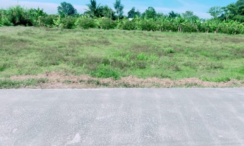 Bán Đất Thổ Cư Gần KCN Phước Đông, Giá Ngộp 5×33, Thổ Cư 100%