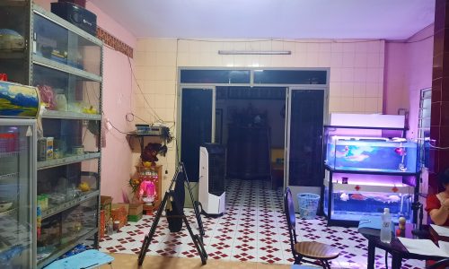 Siêu phẩm Q3, Nam Kì Khởi Nghĩa, hẻm 3m an ninh, khu hiếm nhà bán, giáp Q1, 52m2, 5.2 tỷ