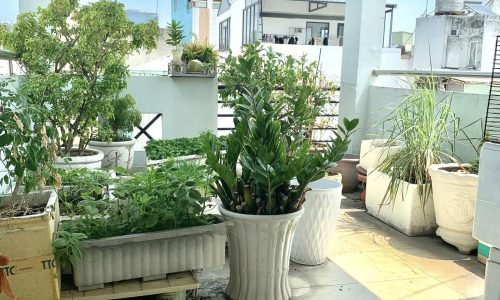 Hàng hot, nhà HXH Vườn Chuối, Q3, tiện Kinh doanh, DT sàn 168m2, 5 tầng, 4PN,  nhỉnh 7 tỷ