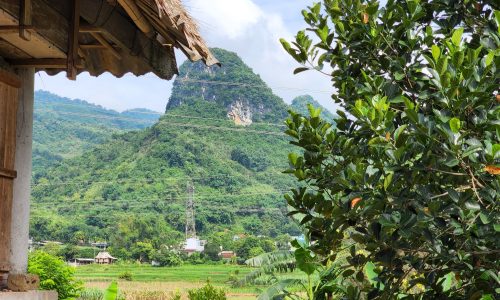 Mảnh đất 1883m2 có hẳn 800m thổ cư tại Phố Bằng, Cao Phong Trên đất có sẵn 1 nhà cấp 4, 1 nhà sàn cao thoáng