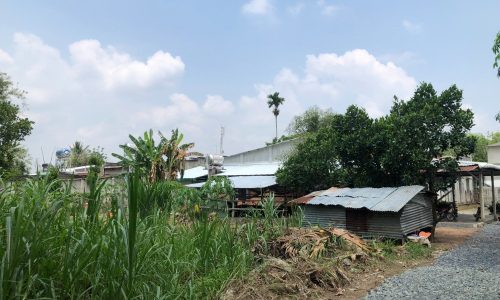 Đất Gò Dầu Sổ Sẵn Giá Rẻ, Khu Dân Cư Đông Giá Chỉ 350 Triệu